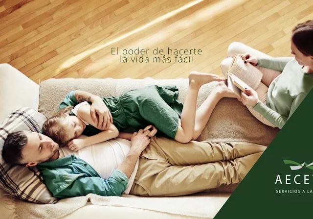 Aecetia- Servicios de limpieza y cuidado en Sevilla