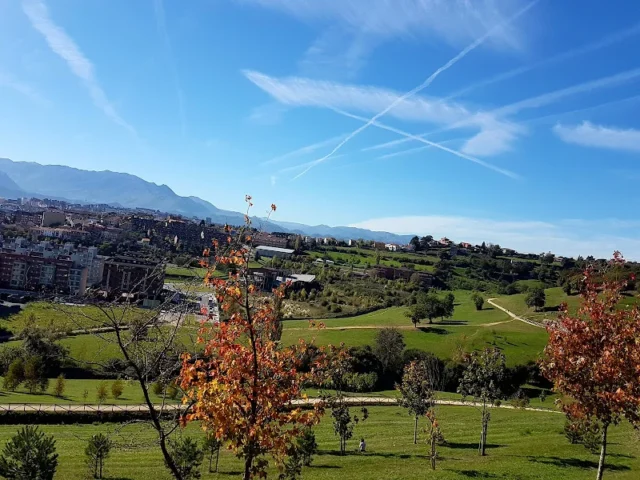 Asturias Mantenimiento y Limpieza