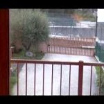 Vista desde un balcón hacia un patio con árbol, reja y cercado, evocando Razones detrás de las decisiones y acciones humanas.