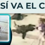 Imagen de baja resolución extraída de vigilancia urbana que muestra a una mujer de pie junto a una persona tendida en la acera y un recuadro con otra toma similar, acompañada del titular Madre de Marta Pérez denuncia okupación tras su coma