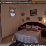 Perros lobo de okupa atacan a niño de 10 años y asedian vecinos